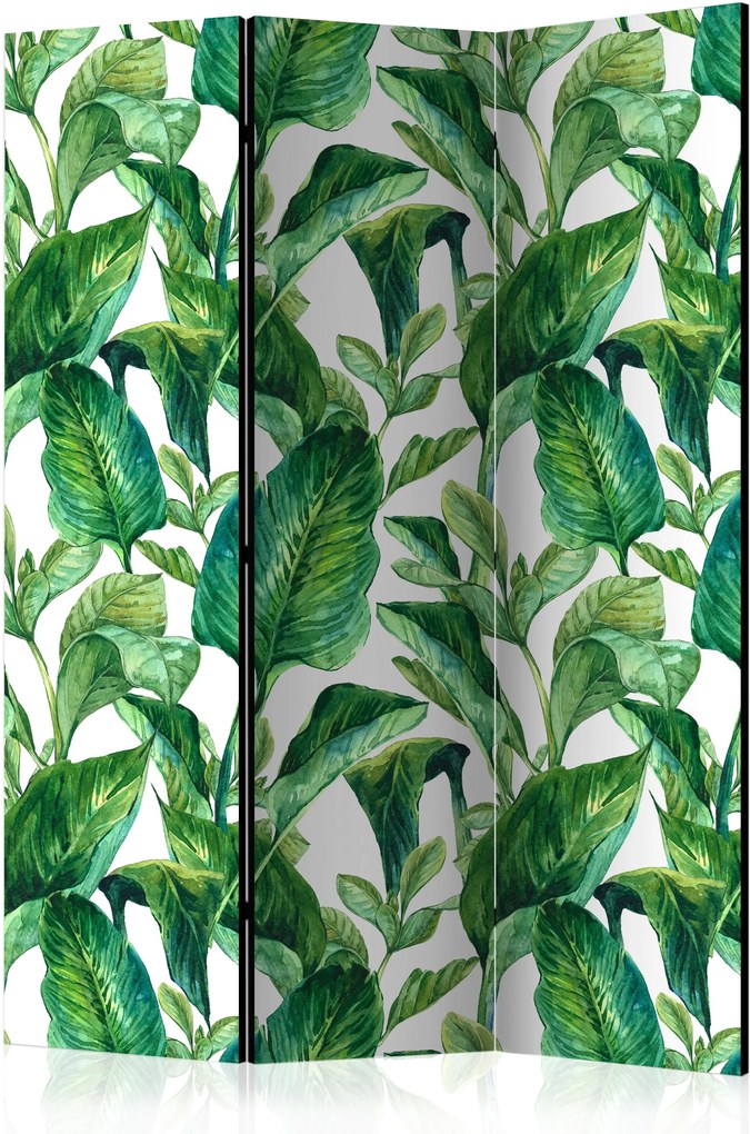 Paraván - Tropical Paradise [Room Dividers] 135x172