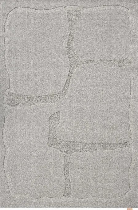 Koberec Agnella Morphic Organica sivý