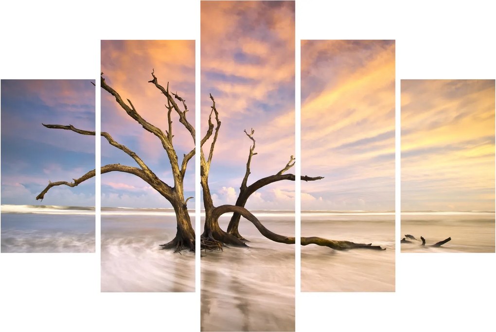 Obraz stromu v oceáne (150x105 cm)
