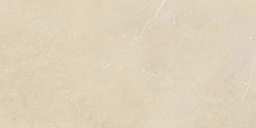 Dlažba Rako Fly divine 30x60 cm mat DAKSR885.1