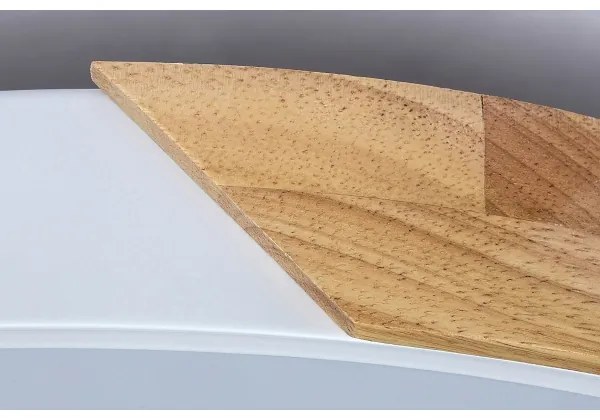 Rabalux 3527 - LED Stropné svietidlo MAPLE LED/24W/230V biela