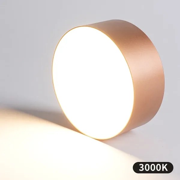 BRILAGI - Kúpeľňové stropné svietidlo FORIS LED/20W/230V pr. 15 cm bronzové IP44