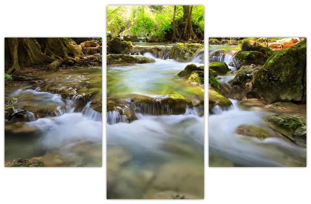 Rieka v lese - obraz