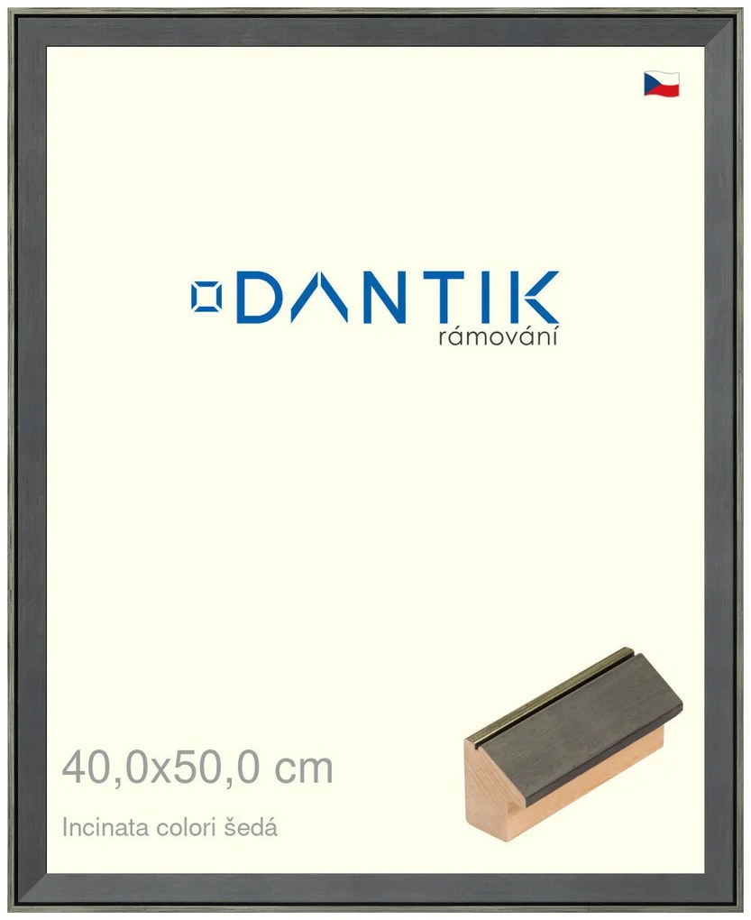 DANTIK rám na obraz 40x50 | INCLINATA colori šedá (Plexi Čiré)