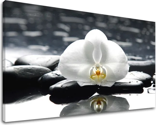 Obraz na stenu FENG SHUI