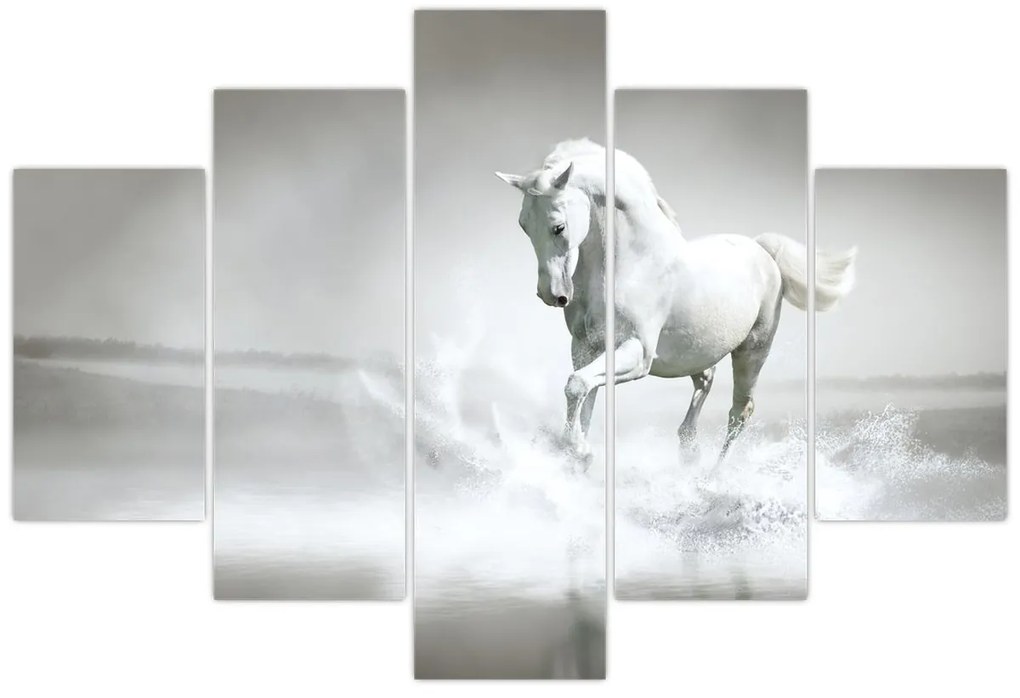 Obraz - Biely kôň (150x105 cm)