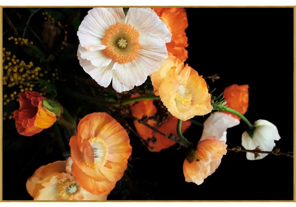 XXXLutz SKLENENÝ OBRAZ, kvety, 120/80 cm Monee - Obrazy - 0030540096