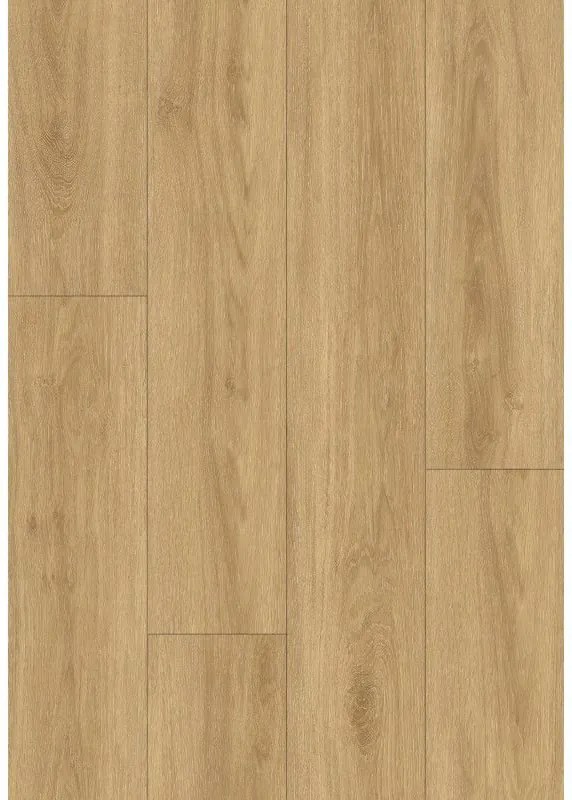 Mexen Cape Coral vinylové panely 1240 x 182 mm SPC 6,5 mm, podklad IXPE 1,5 mm, 4 V-Fuga, Dub - F1123-1240-182-505-4V1-01