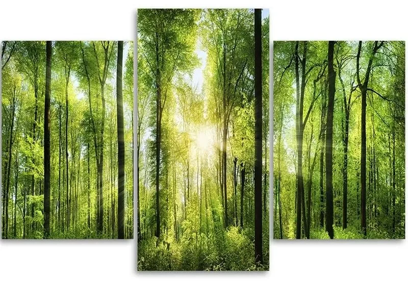 Gario Obraz na plátne Slnečné lúče v zelenom lese - 3 dielny Rozmery: 120 x 80 cm