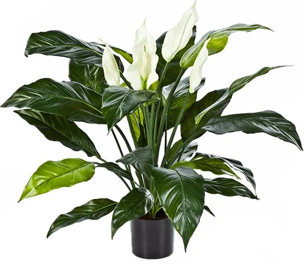 Umelá rastlina Spathiphyllum de luxe 73 cm