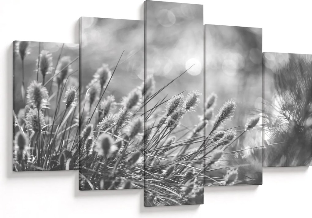 Obraz - Béžová soft grass N⁰1 (150x105 cm)