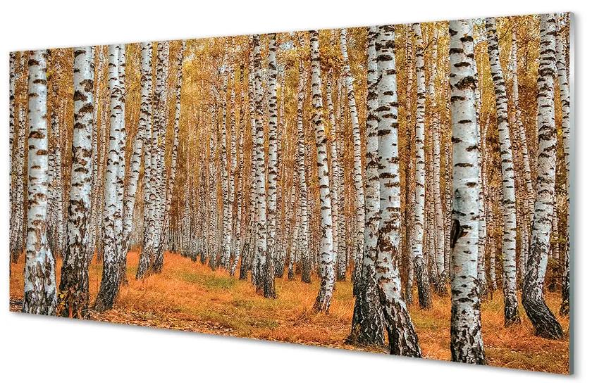 Obraz plexi Jesenné stromy 125x50 cm