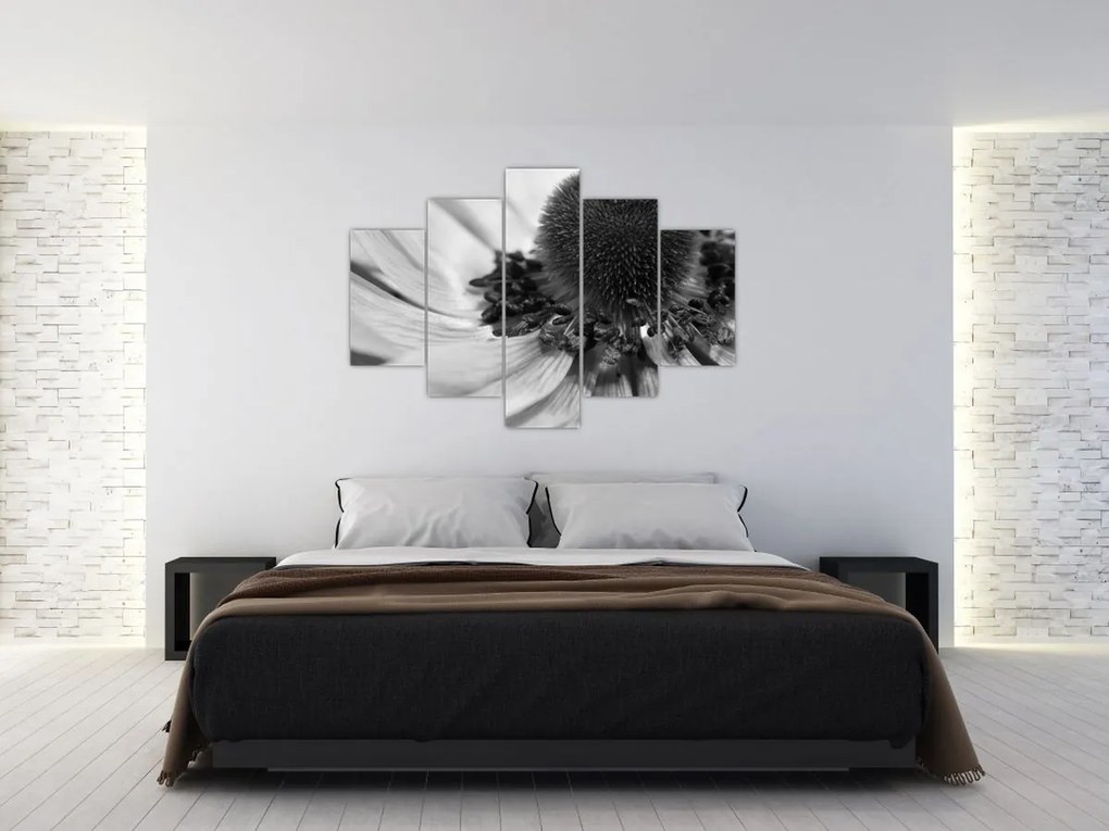 Obraz - Kvetina v čiernobielej (150x105 cm)