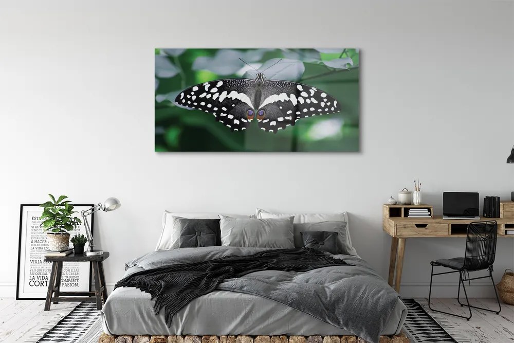 Obraz na akrylátovom skle Farebný motýľ lístia 140x70 cm