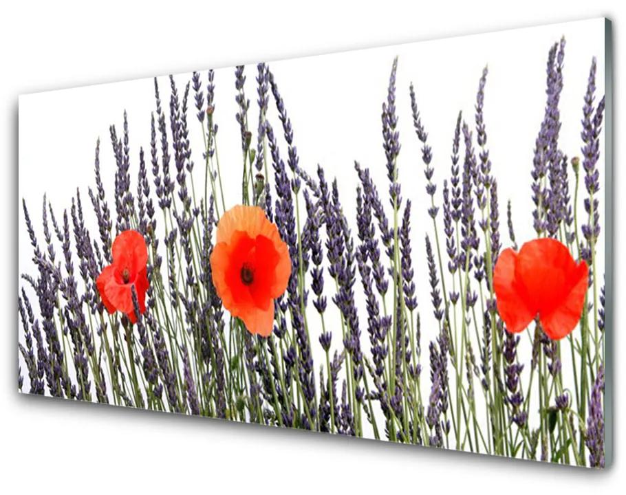 Skleneny obraz Kvety maky pole trávy 140x70cm