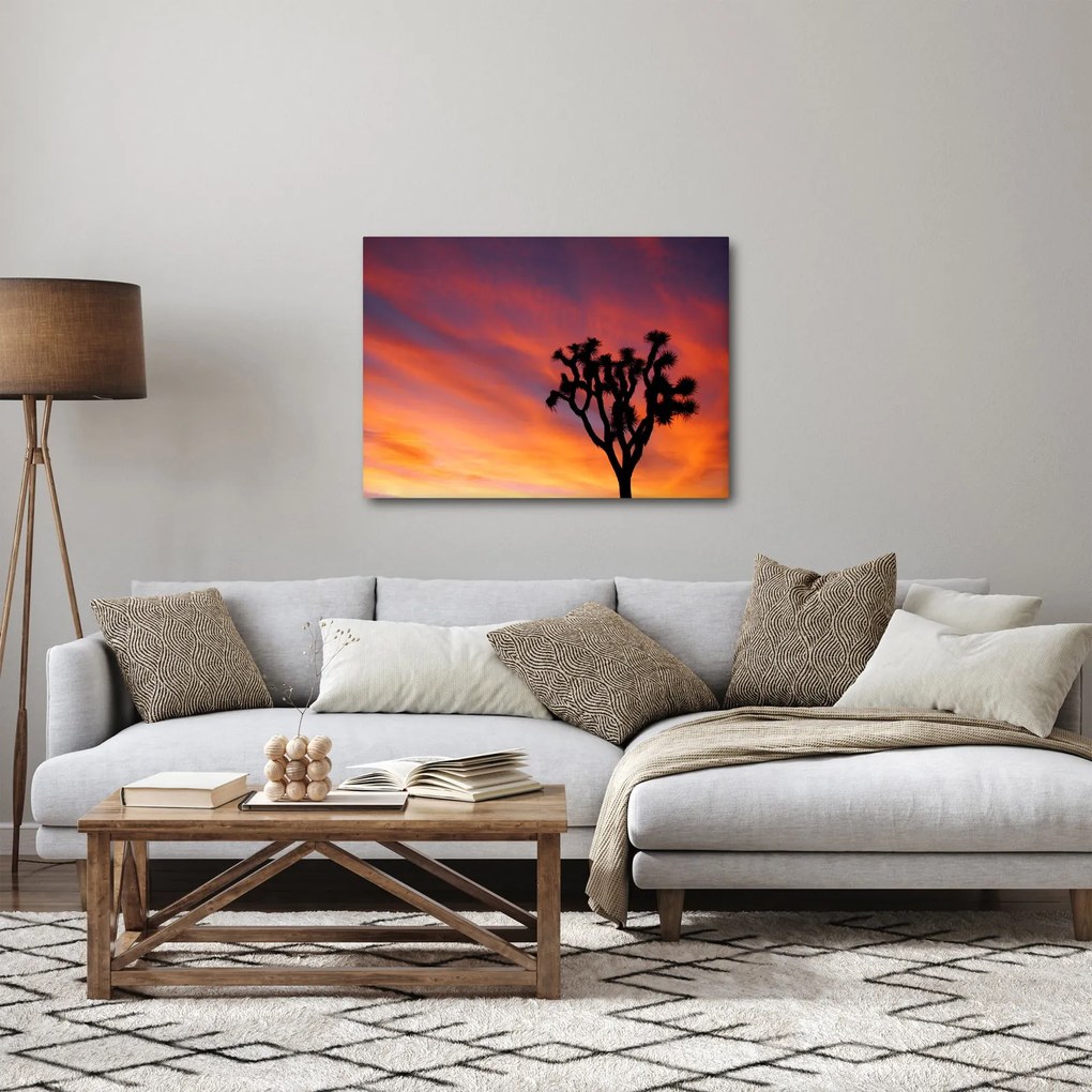 Obraz západu slnka nad siluetou stromu (70x50 cm)