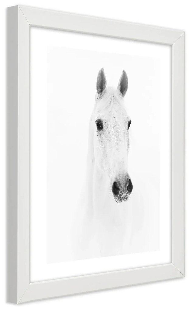 Gario Plagát Sivý kôň Farba rámu: Bez rámu, Rozmery: 70 x 100 cm