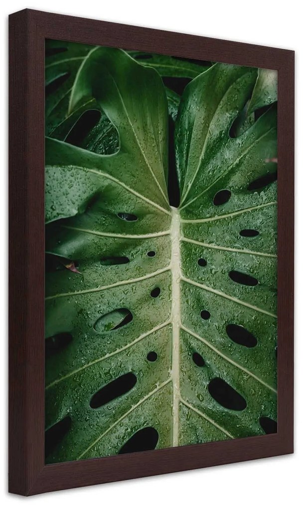 Gario Plagát List ikonickej monstery Farba rámu: Bez rámu, Rozmery: 20 x 30 cm