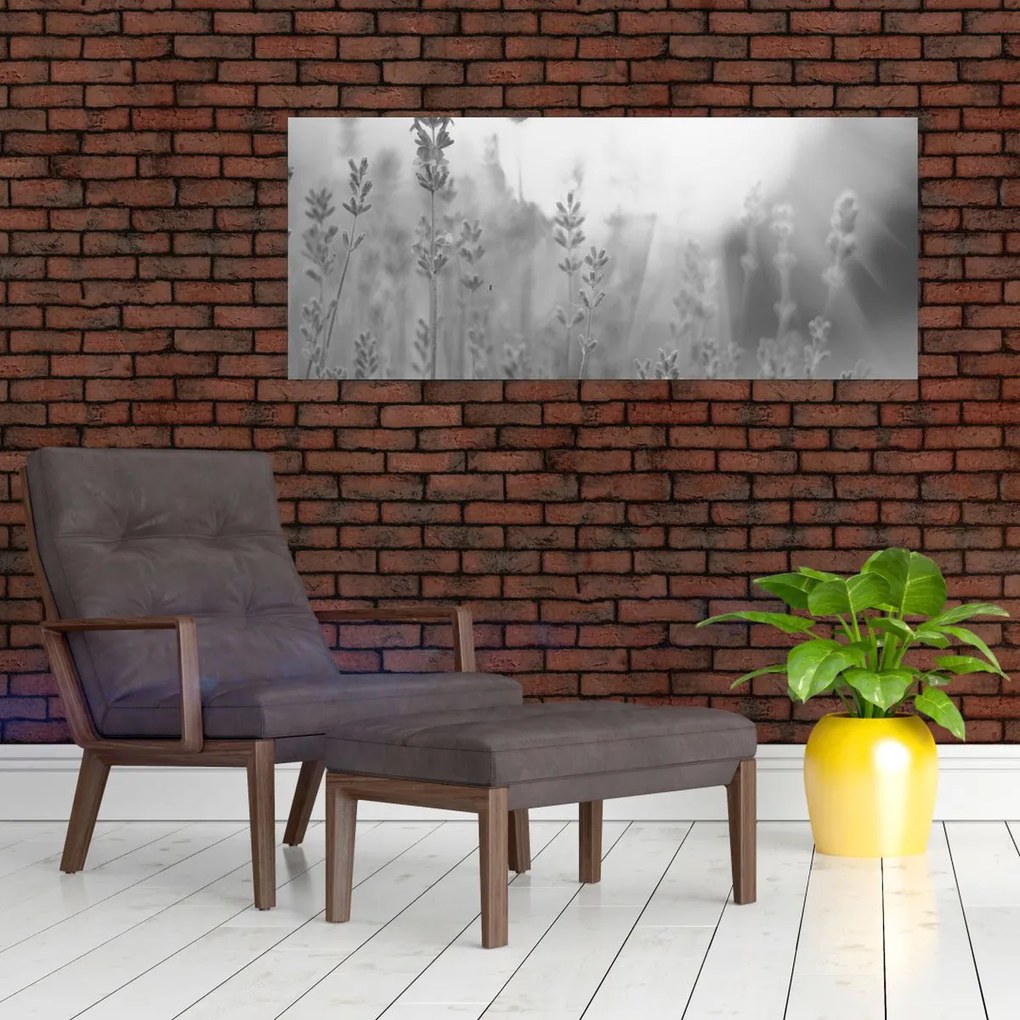 Obraz - Levanduľa (120x50 cm)
