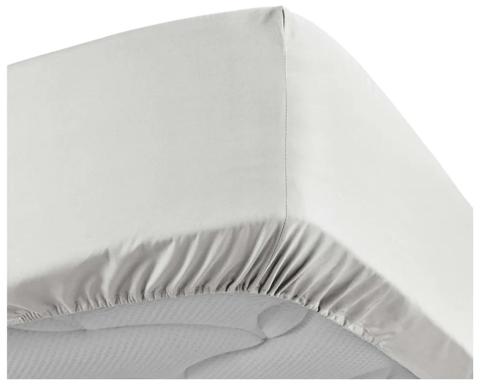 Biela napínacia plachta z bavlneného perkálu 90x190 cm Percaline – douceur d'intérieur