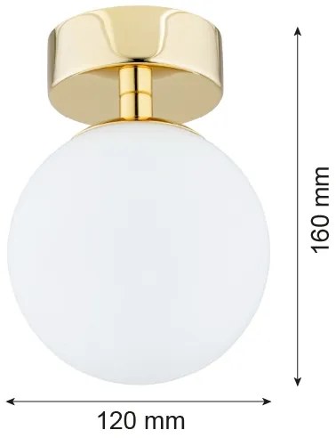 Argon 4004 - Kúpeľňové stropné svietidlo FLAVIO 1xE14/7W/230V IP44