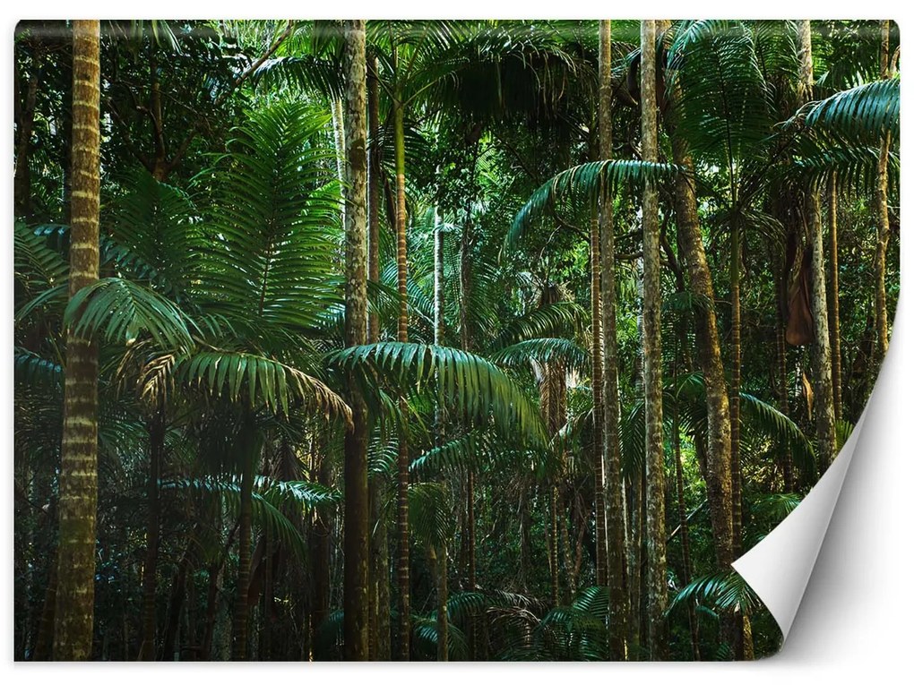 Gario Fototapeta Vysoké palmy Materiál: Vliesová, Rozmery: 350 x 245 cm