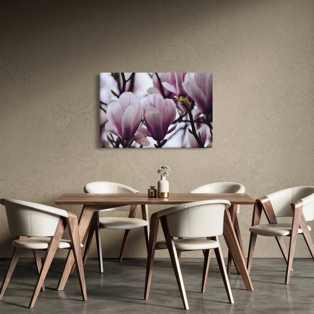 Obraz - Magnolie (90x60 cm)