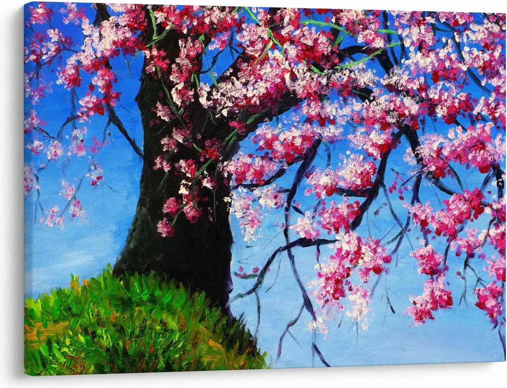 Obraz maľované rozkvitnuté čerešne (70x50 cm)