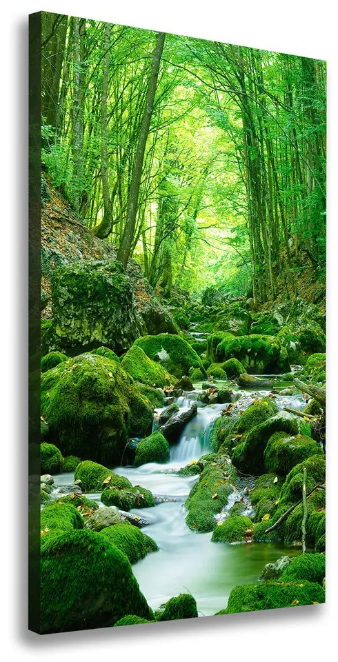 Foto obraz na plátne Potok v džungli pl-oc-50x100-f-66843230