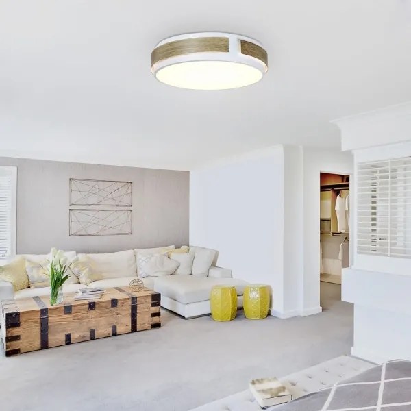 Rabalux 5646 - LED Stmievateľné stropné svietidlo SALMA LED/24W/230V