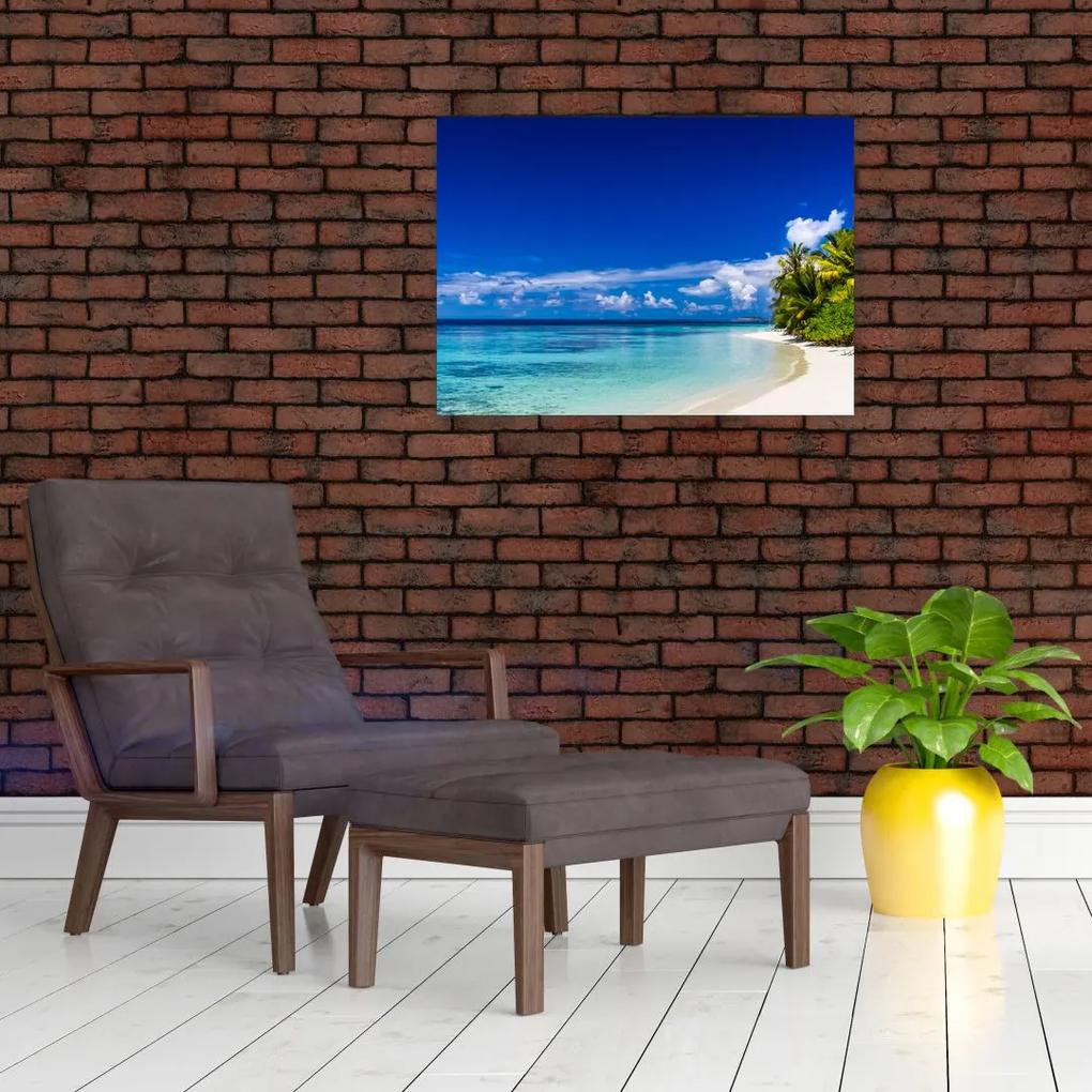 Sklenený obraz tropickej pláže (70x50 cm)