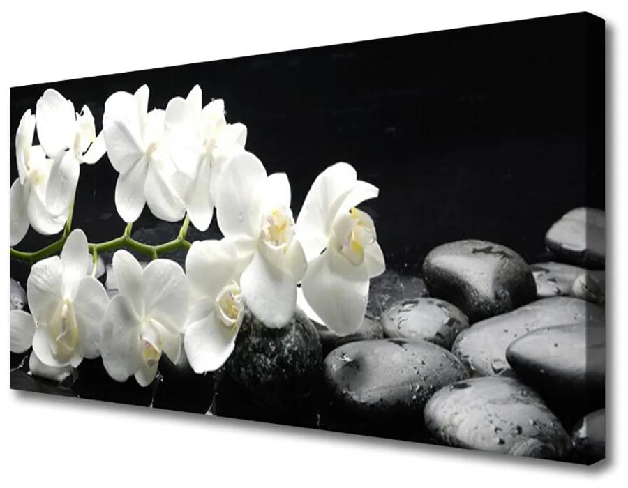 Obraz na plátne Kvet kamene rastlina 140x70cm