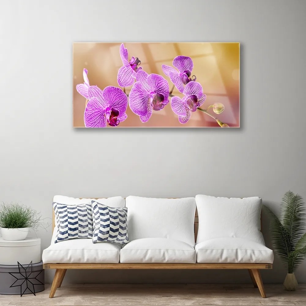 Skleneny obraz Orchidea výhonky kvety príroda 125x50 cm