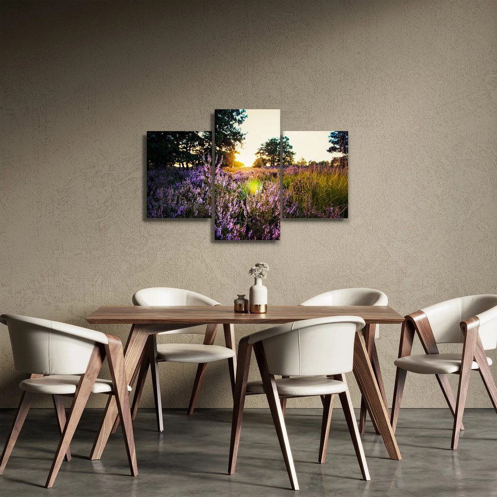 Obraz poľa levanduľou (90x60 cm)