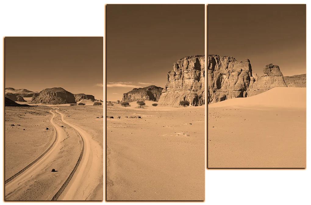 Obraz na plátne - Cesta v púšti 1129FD (150x100 cm)