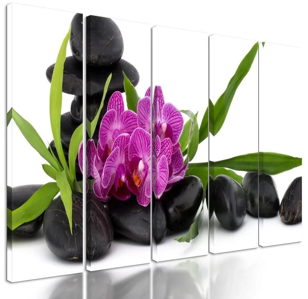 5-dielny obraz krásny kvet orchidei v SPA zátiší