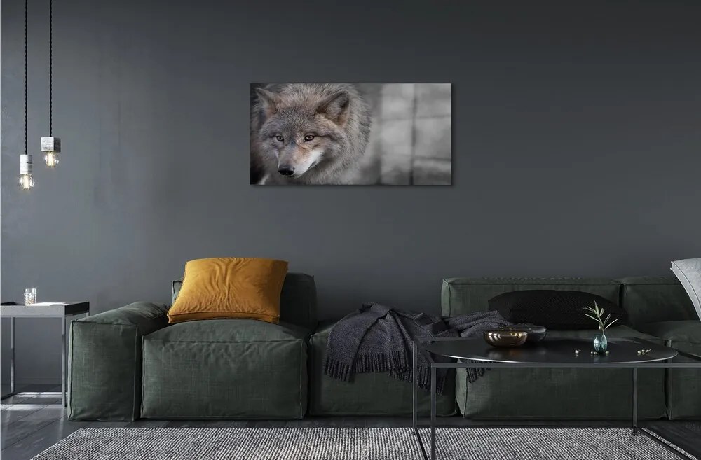 Sklenený obraz vlk 140x70 cm