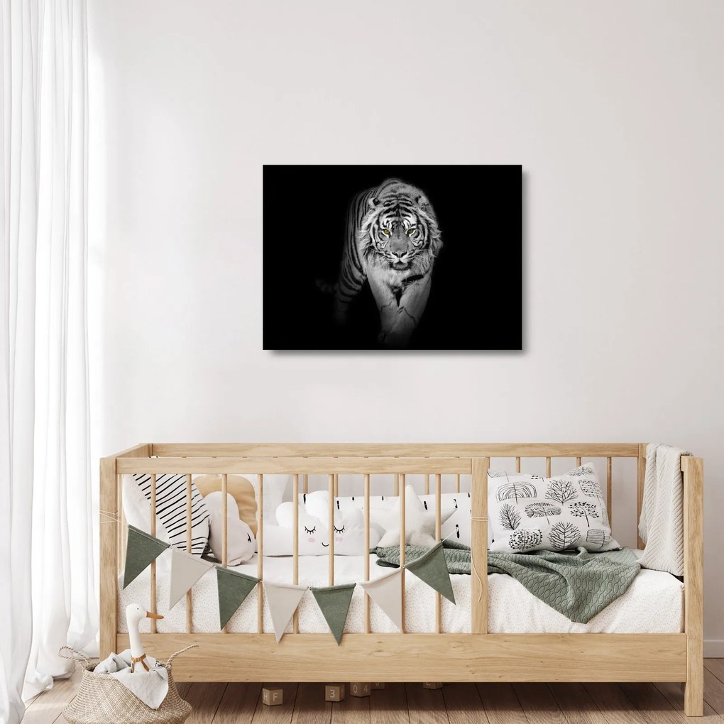 Sklenený obraz - Tiger so žltými očami (70x50 cm)