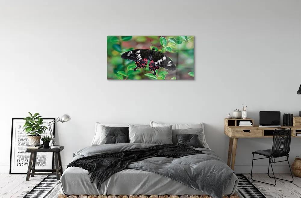 Sklenený obraz List farebný motýľ 100x50 cm