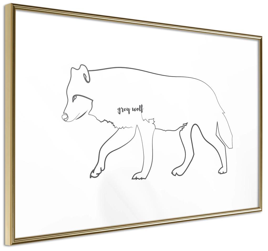Artgeist Plagát - Wolf [Poster] Veľkosť: 45x30, Verzia: Zlatý rám s passe-partout