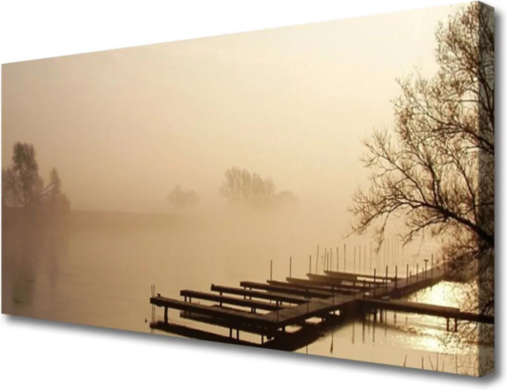 Obraz na plátně Most voda mlha krajina