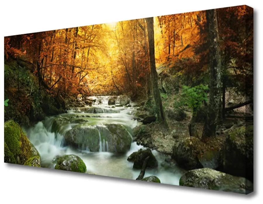 Obraz Canvas Vodopád príroda les jeseň 100x50 cm