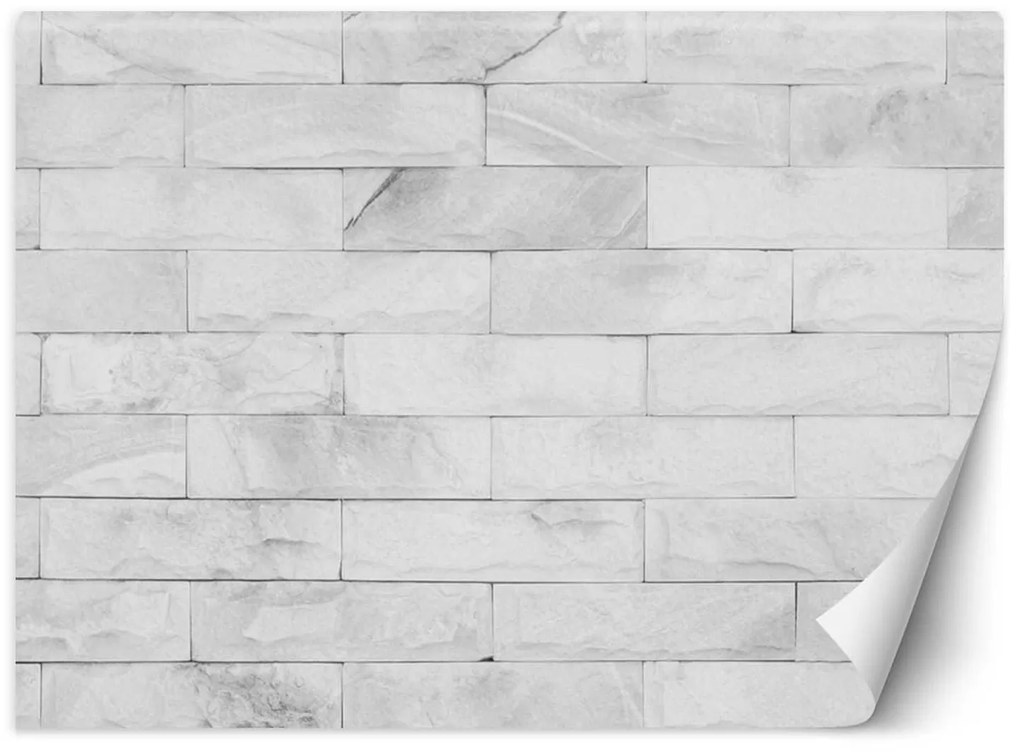Gario Fototapeta Biele tehly Materiál: Vliesová, Rozmery: 200 x 140 cm