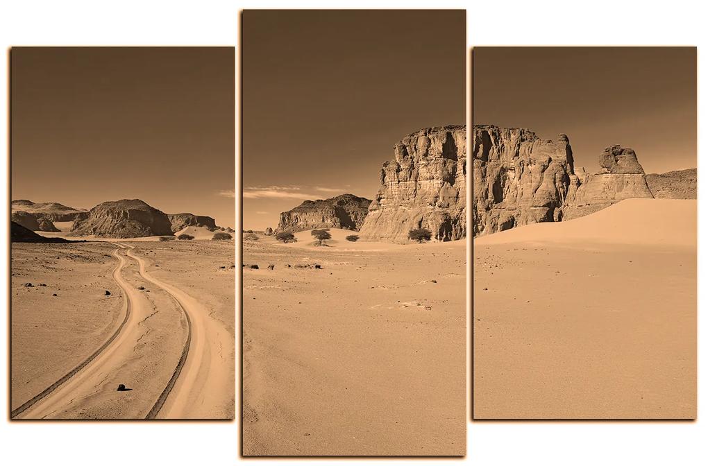 Obraz na plátne - Cesta v púšti 1129FC (105x70 cm)
