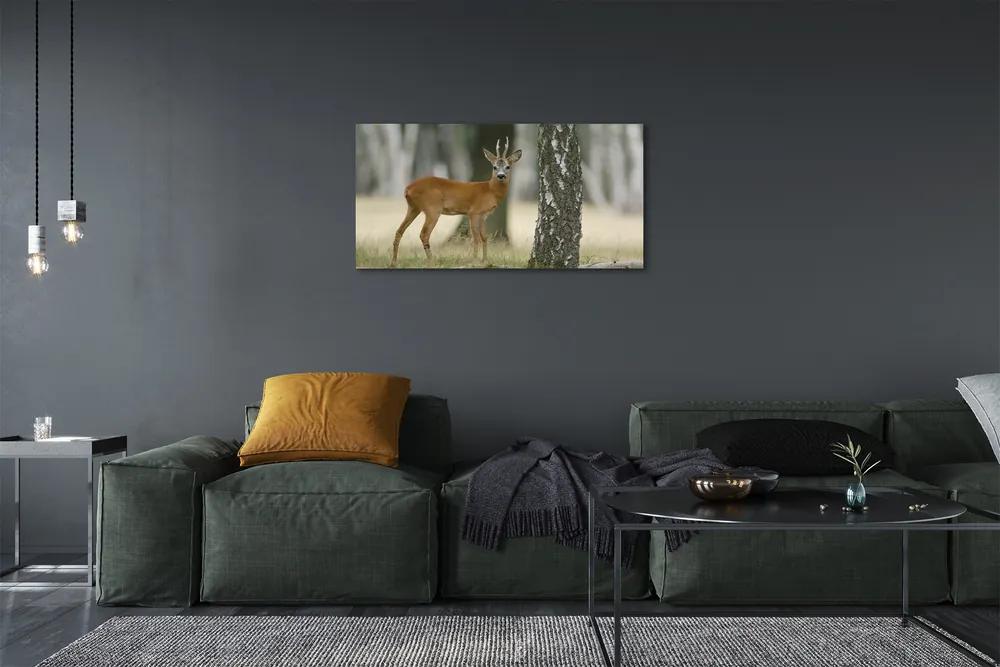 Obraz na plátne jeleň lesný 125x50 cm