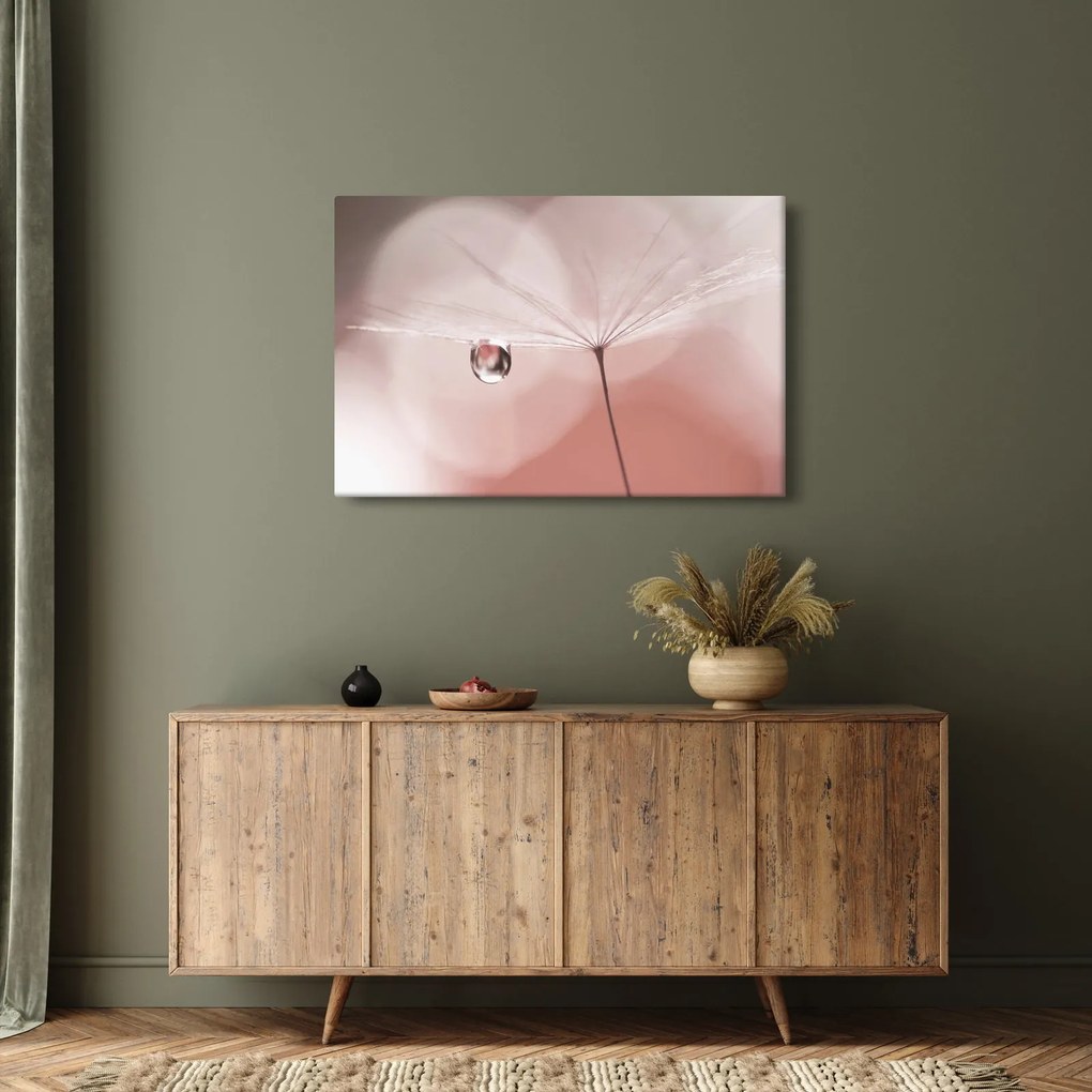 Obraz - Kvapka rosy (90x60 cm)