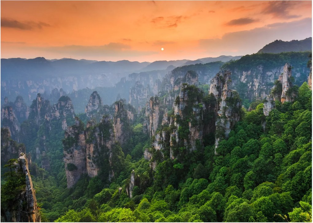 Obraz - Národný lesný park Zhangjiajie (70x50 cm)