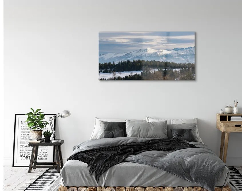 Obraz plexi Horské zimné 125x50 cm