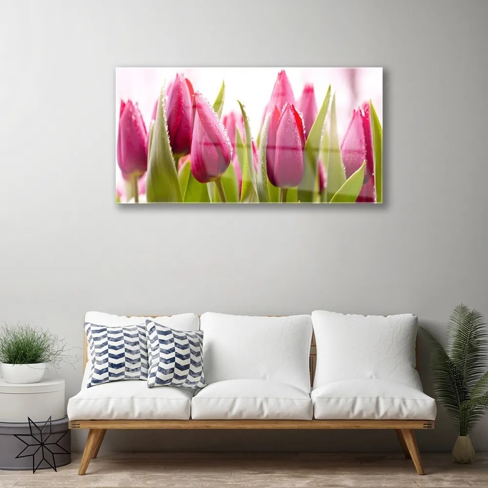 Skleneny obraz Tulipány kvety rastlina 140x70 cm