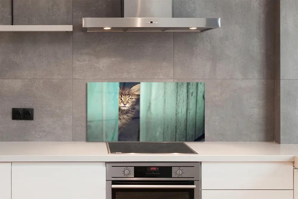 Nástenný panel  Zaglądający cat 125x50 cm